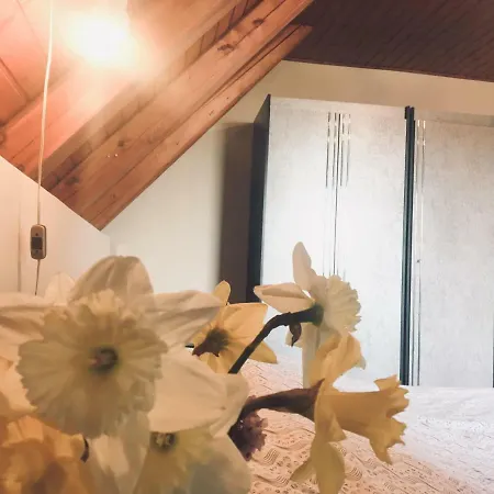 Maison d'hôtes Kerti Vendeghaz *
